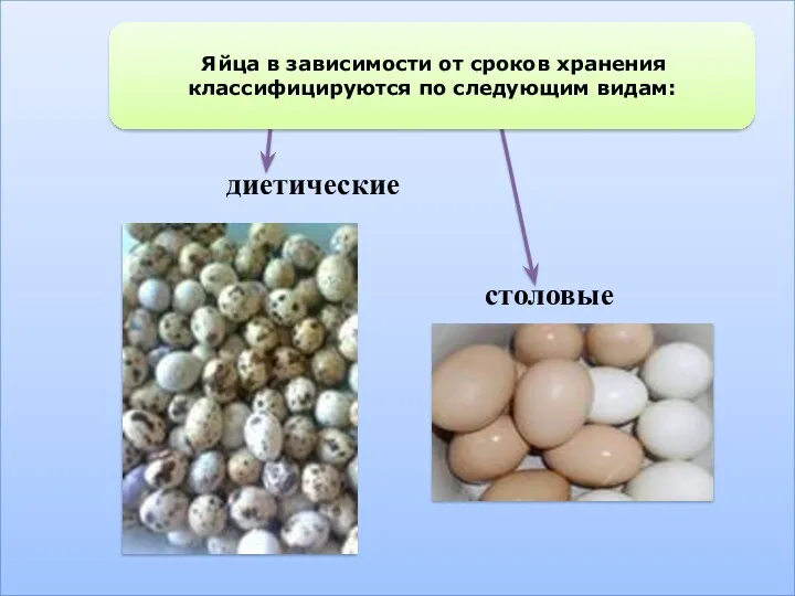 диетические столовые Яйца в зависимости от сроков хранения классифицируются по следующим видам: