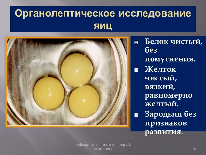 Органолептическое исследование яиц Белок чистый, без помутнения. Желток чистый, вязкий,