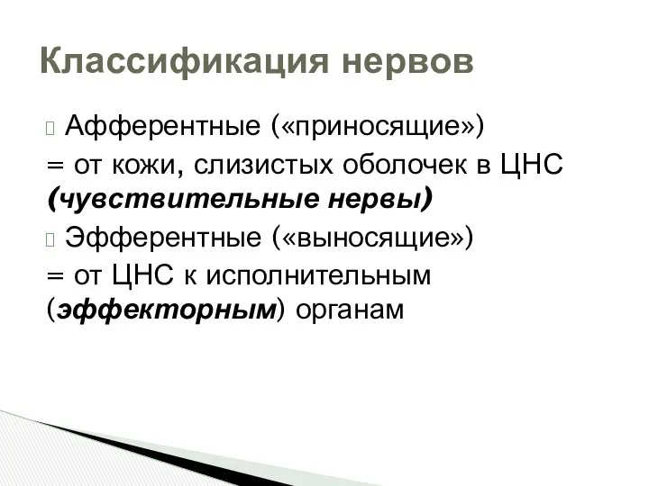 Афферентные («приносящие») = от кожи, слизистых оболочек в ЦНС (чувствительные нервы) Эфферентные («выносящие»)