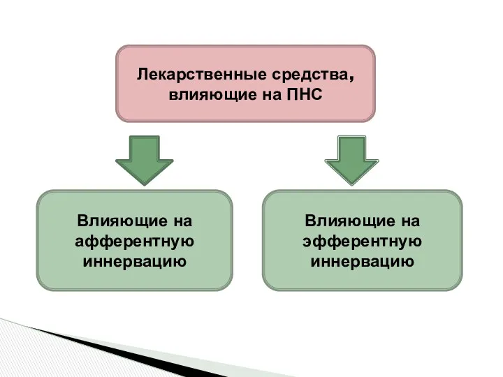 Лекарственные средства, влияющие на ПНС Влияющие на афферентную иннервацию Влияющие на эфферентную иннервацию