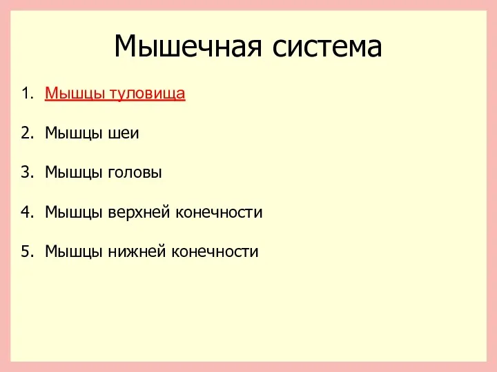 Мышечная система Мышцы туловища Мышцы шеи Мышцы головы Мышцы верхней конечности Мышцы нижней конечности