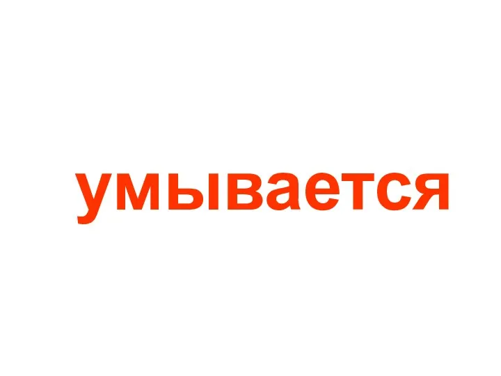 умывается