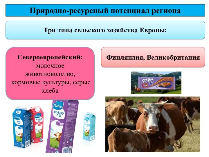 Три типа сельского хозяйства Европы: Природно-ресурсный потенциал региона Североевропейский: молочное