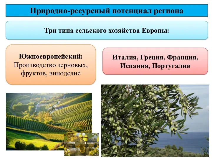 Три типа сельского хозяйства Европы: Природно-ресурсный потенциал региона Южноевропейский: Производство