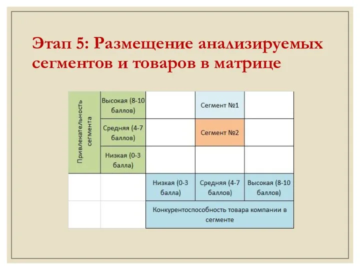 Этап 5: Размещение анализируемых сегментов и товаров в матрице