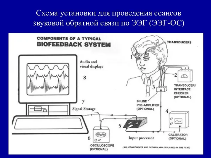 Схема установки для проведения сеансов звуковой обратной связи по ЭЭГ (ЭЭГ-ОС)