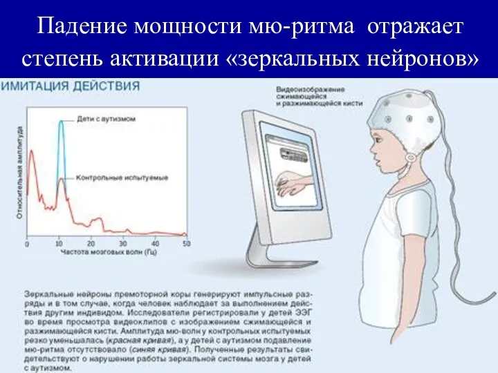 Падение мощности мю-ритма отражает степень активации «зеркальных нейронов»