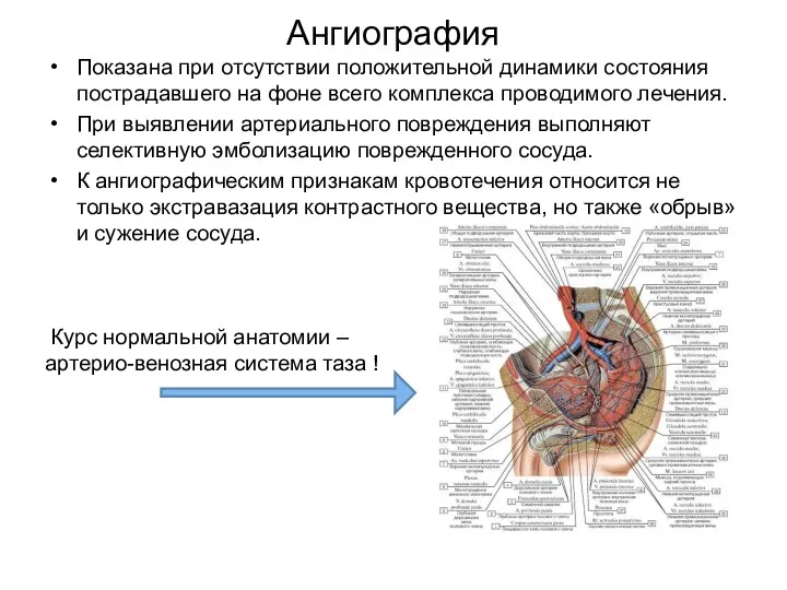 Ангиография Показана при отсутствии положительной динамики состояния пострадавшего на фоне