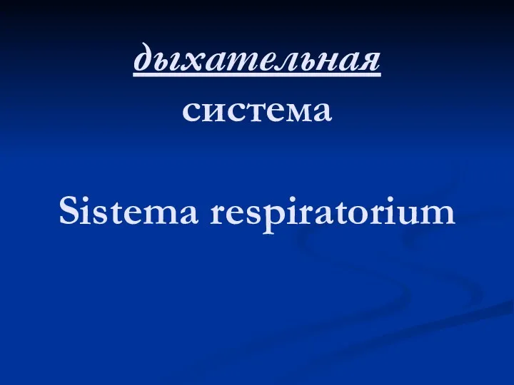 дыхательная система Sistema respiratorium