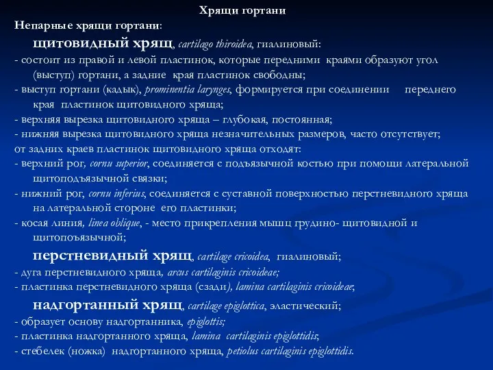 Хрящи гортани Непарные хрящи гортани: щитовидный хрящ, сartilago thiroidea, гиалиновый: