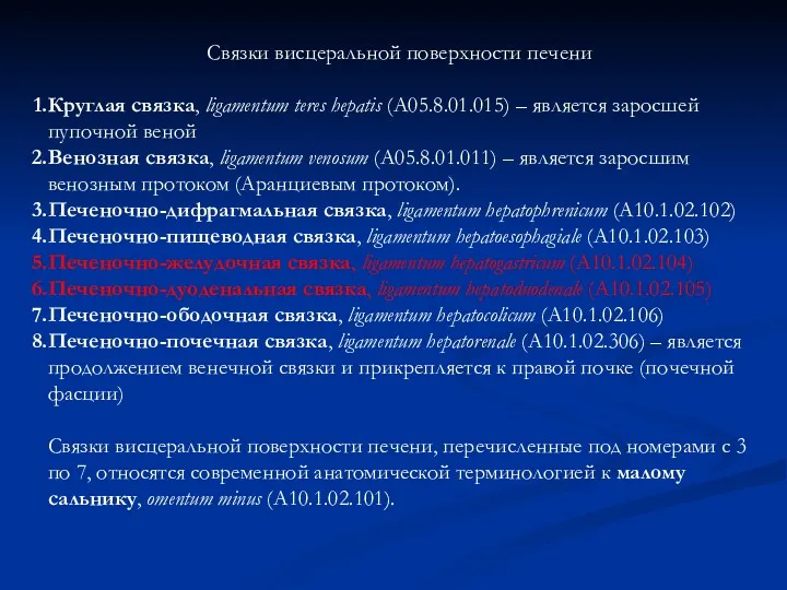 Связки висцеральной поверхности печени Круглая связка, ligamentum teres hepatis (А05.8.01.015)