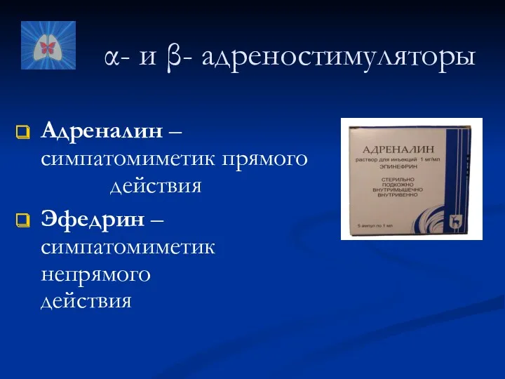 α- и β- адреностимуляторы Адреналин – симпатомиметик прямого действия Эфедрин – симпатомиметик непрямого действия