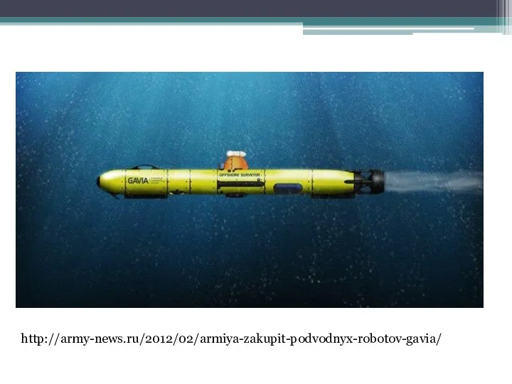 http://army-news.ru/2012/02/armiya-zakupit-podvodnyx-robotov-gavia/