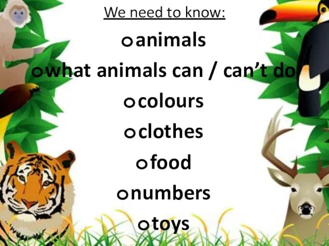 We need to know: animals what animals can / can’t do colours clothes food numbers toys