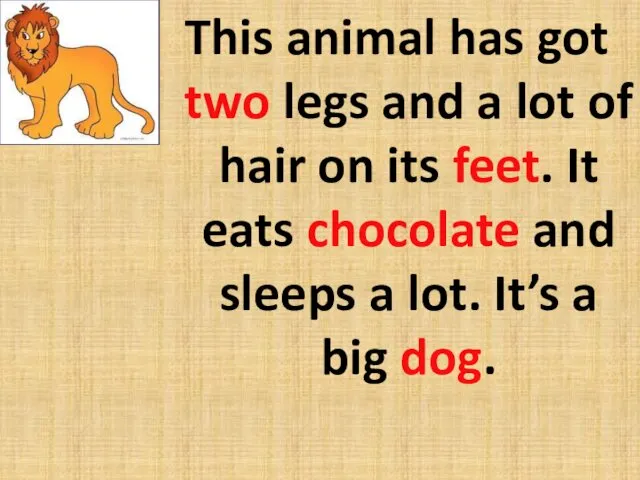 This animal has got two legs and a lot of