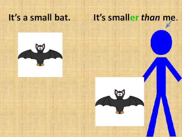 It’s a small bat. It’s smaller than me.