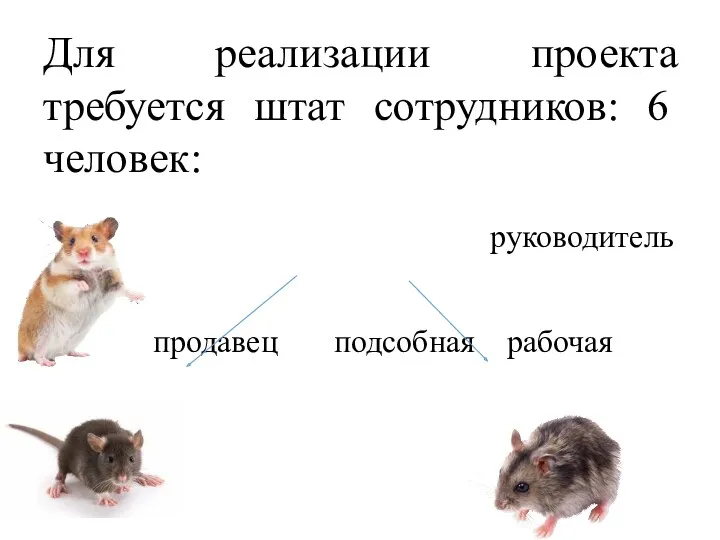 Для реализации проекта требуется штат сотрудников: 6 человек: руководитель продавец подсобная рабочая