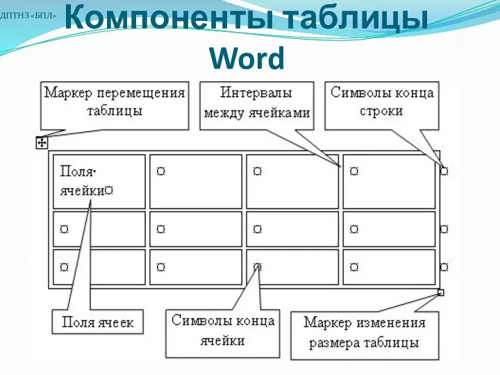 Компоненты таблицы Word ДПТНЗ «БПЛ»