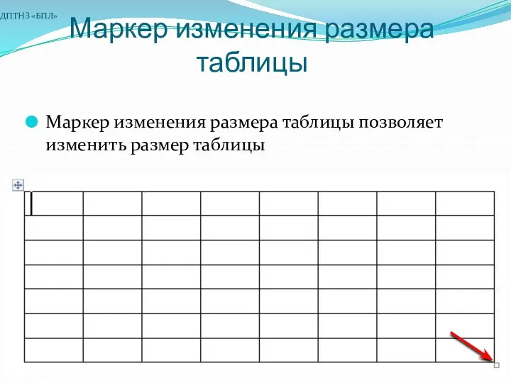 Маркер изменения размера таблицы Маркер изменения размера таблицы позволяет изменить размер таблицы ДПТНЗ «БПЛ»