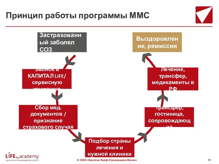 Принцип работы программы ММС Застрахованный заболел СОЗ Звонок в КАПИТАЛ