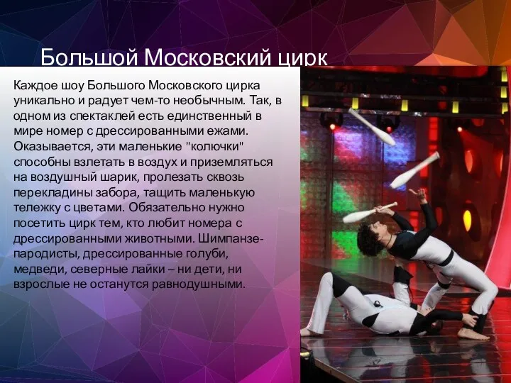 Большой Московский цирк Каждое шоу Большого Московского цирка уникально и