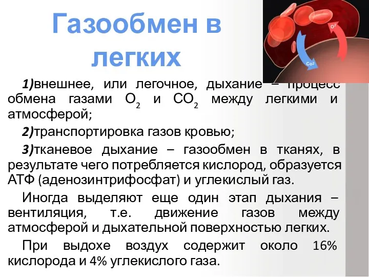 1)внешнее, или легочное, дыхание – процесс обмена газами О2 и