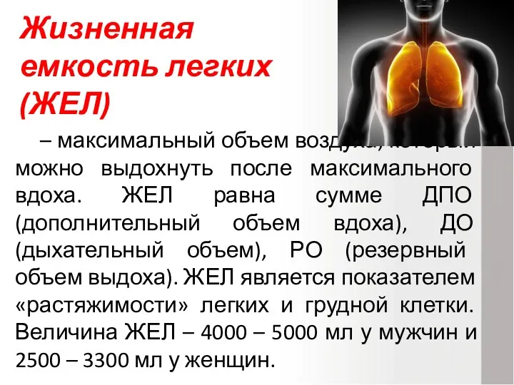 – максимальный объем воздуха, который можно выдохнуть после максимального вдоха.