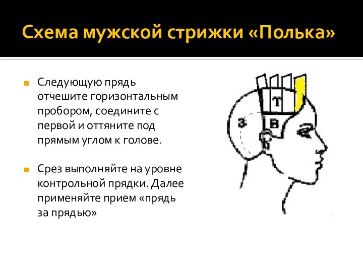 Схема мужской стрижки «Полька» Следующую прядь отчешите горизонтальным пробором, соедините