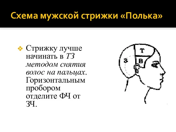 Схема мужской стрижки «Полька» Стрижку лучше начинать в ТЗ методом