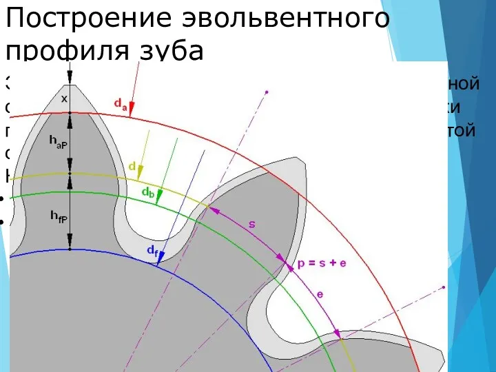 Построение эвольвентного профиля зуба Эвольвента представляет собой развертку основной окружности