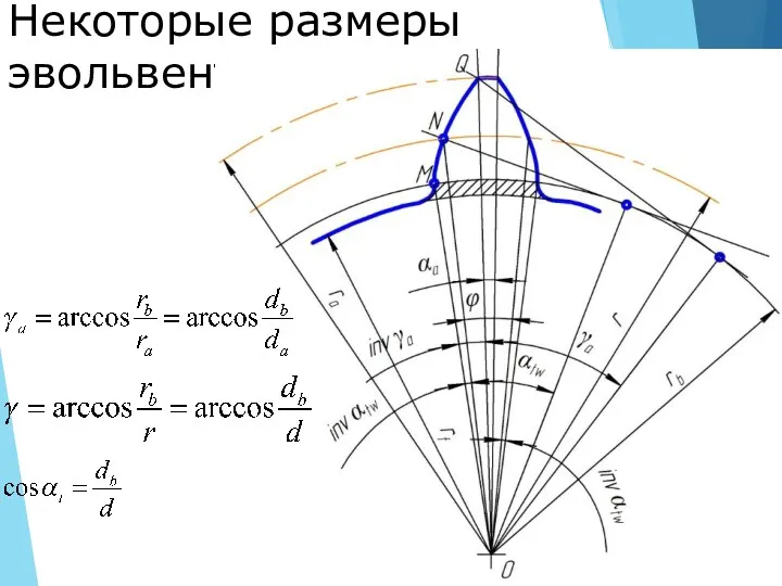 Некоторые размеры эвольвентного профиля