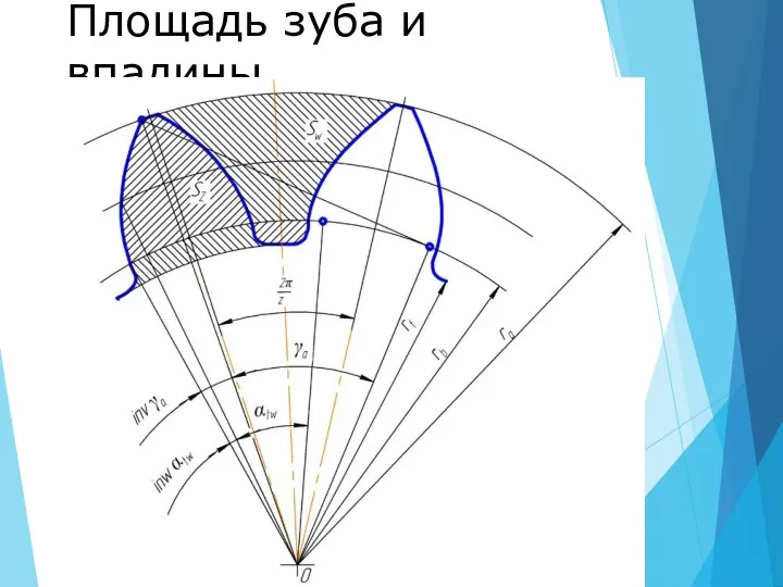 Площадь зуба и впадины