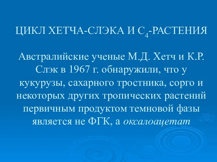 ЦИКЛ ХЕТЧА-СЛЭКА И С4-РАСТЕНИЯ Австралийские ученые М.Д. Хетч и К.Р.