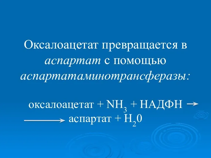 Оксалоацетат превращается в аспартат с помощью аспартатаминотрансферазы: оксалоацетат + NH3 + НАДФН аспартат + Н20