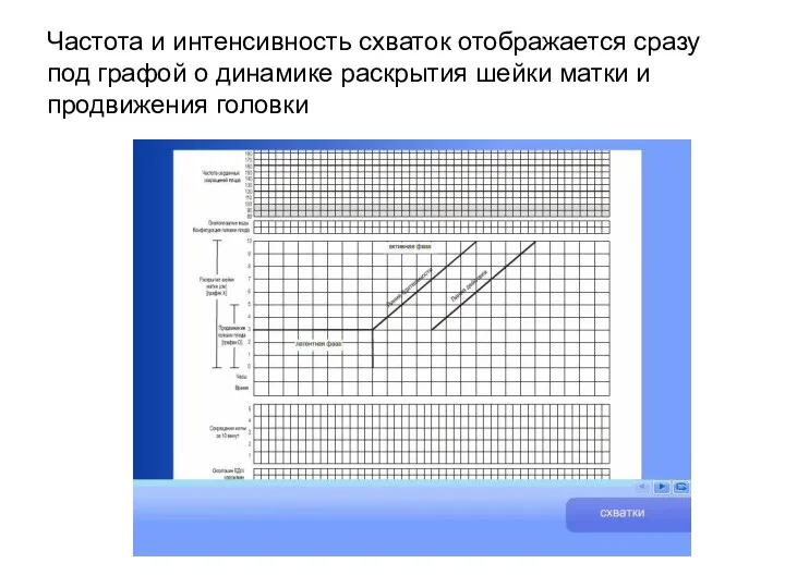 Частота и интенсивность схваток отображается сразу под графой о динамике раскрытия шейки матки и продвижения головки