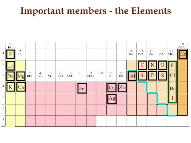 Important members - the Elements