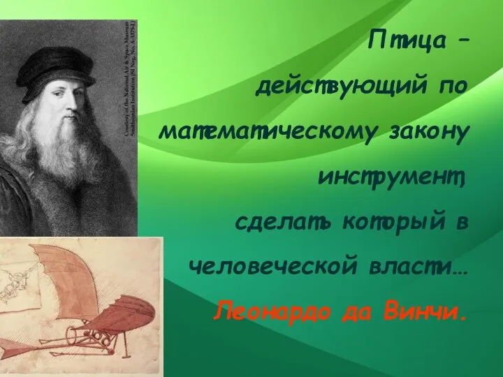 Птица – действующий по математическому закону инструмент, сделать который в человеческой власти… Леонардо да Винчи.