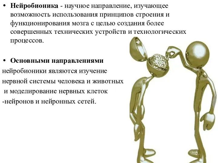 Нейробионика - научное направление, изучающее возможность использования принципов строения и