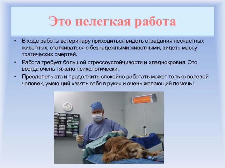 Это нелегкая работа В ходе работы ветеринару приходиться видеть страдания