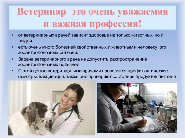 Ветеринар это очень уважаемая и важная профессия! от ветеринарных врачей