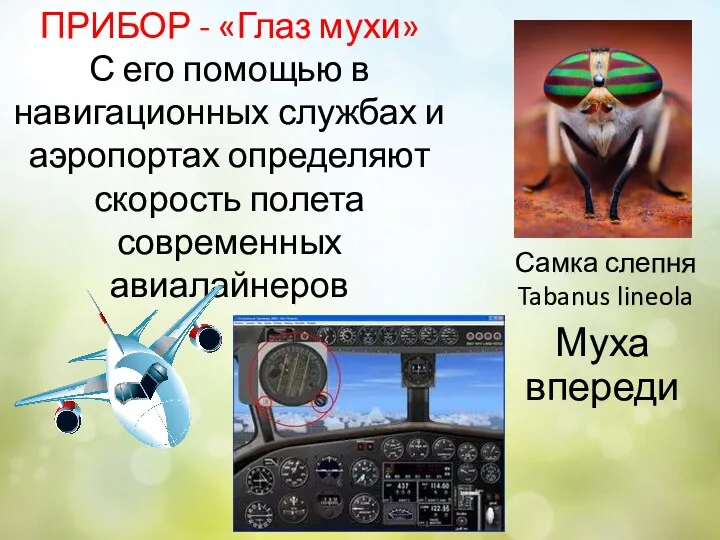 ПРИБОР - «Глаз мухи» С его помощью в навигационных службах и аэропортах определяют