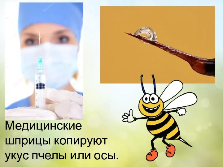 Медицинские шприцы копируют укус пчелы или осы.