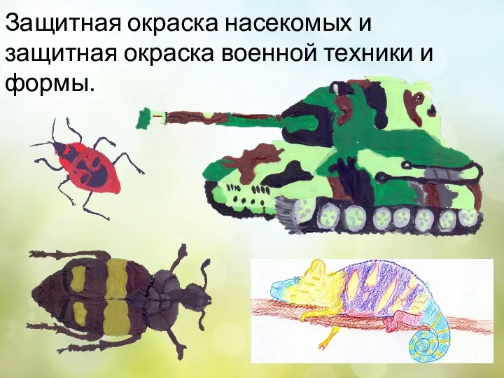 Защитная окраска насекомых и защитная окраска военной техники и формы.