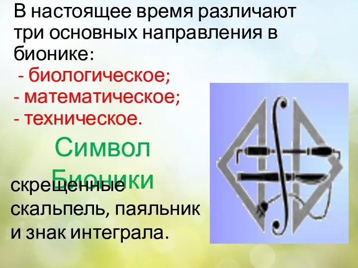 В настоящее время различают три основных направления в бионике: - биологическое; - математическое;