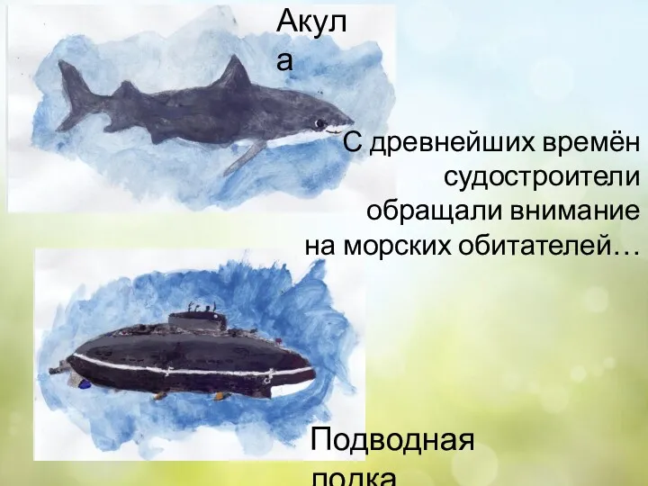 С древнейших времён судостроители обращали внимание на морских обитателей… Акула Подводная лодка