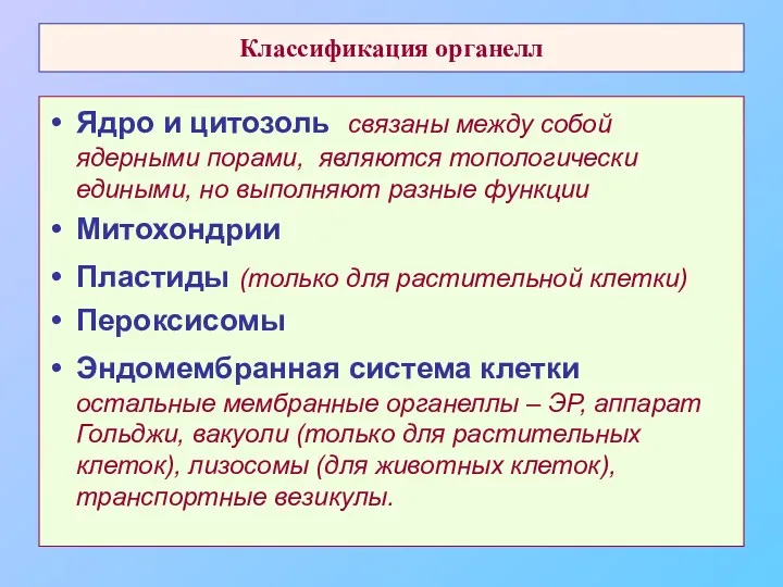 Классификация органелл Ядро и цитозоль связаны между собой ядерными порами,