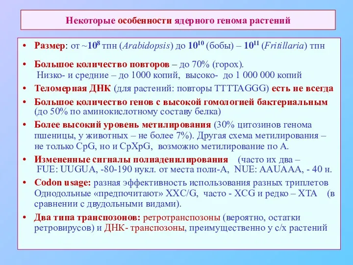 Некоторые особенности ядерного генома растений Размер: от ~108 тпн (Arabidopsis)