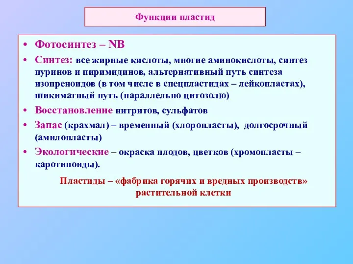 Функции пластид Фотосинтез – NB Синтез: все жирные кислоты, многие