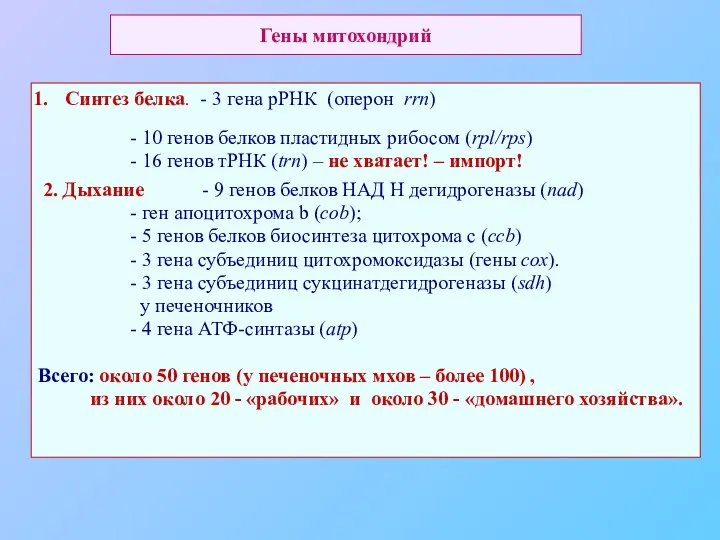 Гены митохондрий Синтез белка. - 3 гена рРНК (оперон rrn)