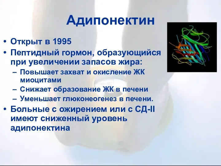 Адипонектин Открыт в 1995 Пептидный гормон, образующийся при увеличении запасов